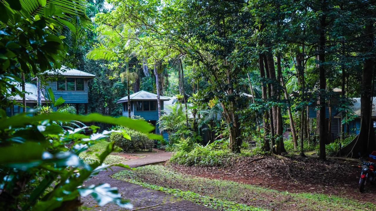 Ferntree Rainforest Lodge Кейп-Тріб'юлейшен Екстер'єр фото