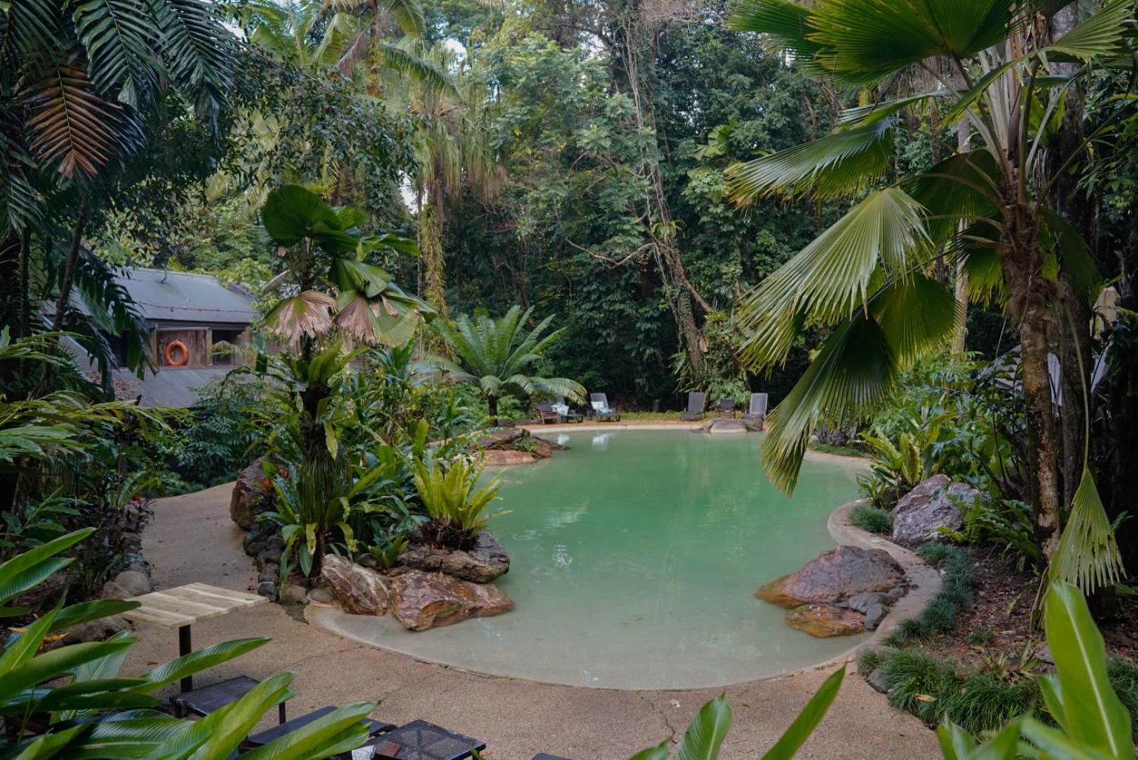 Ferntree Rainforest Lodge Кейп-Тріб'юлейшен Екстер'єр фото