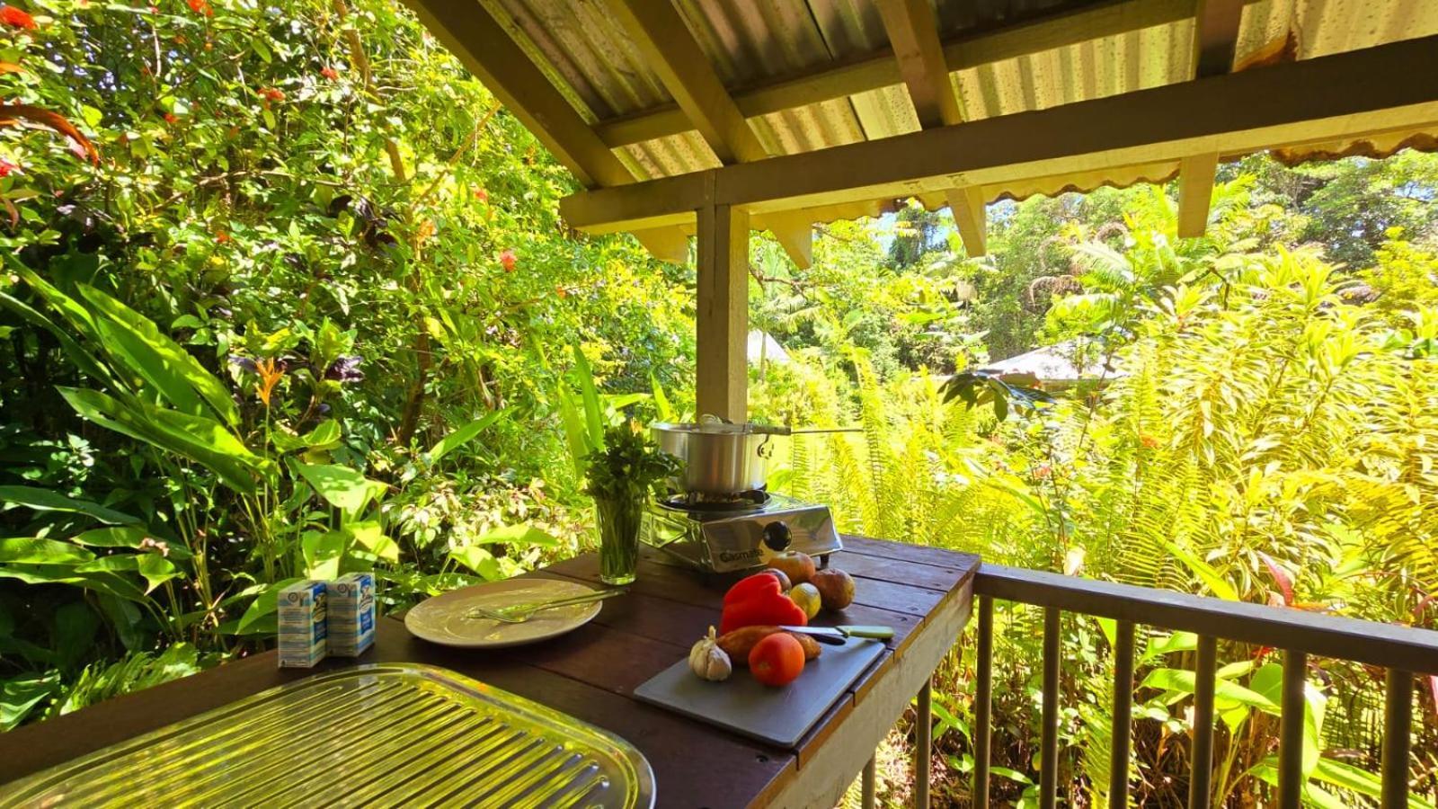 Ferntree Rainforest Lodge Кейп-Тріб'юлейшен Екстер'єр фото