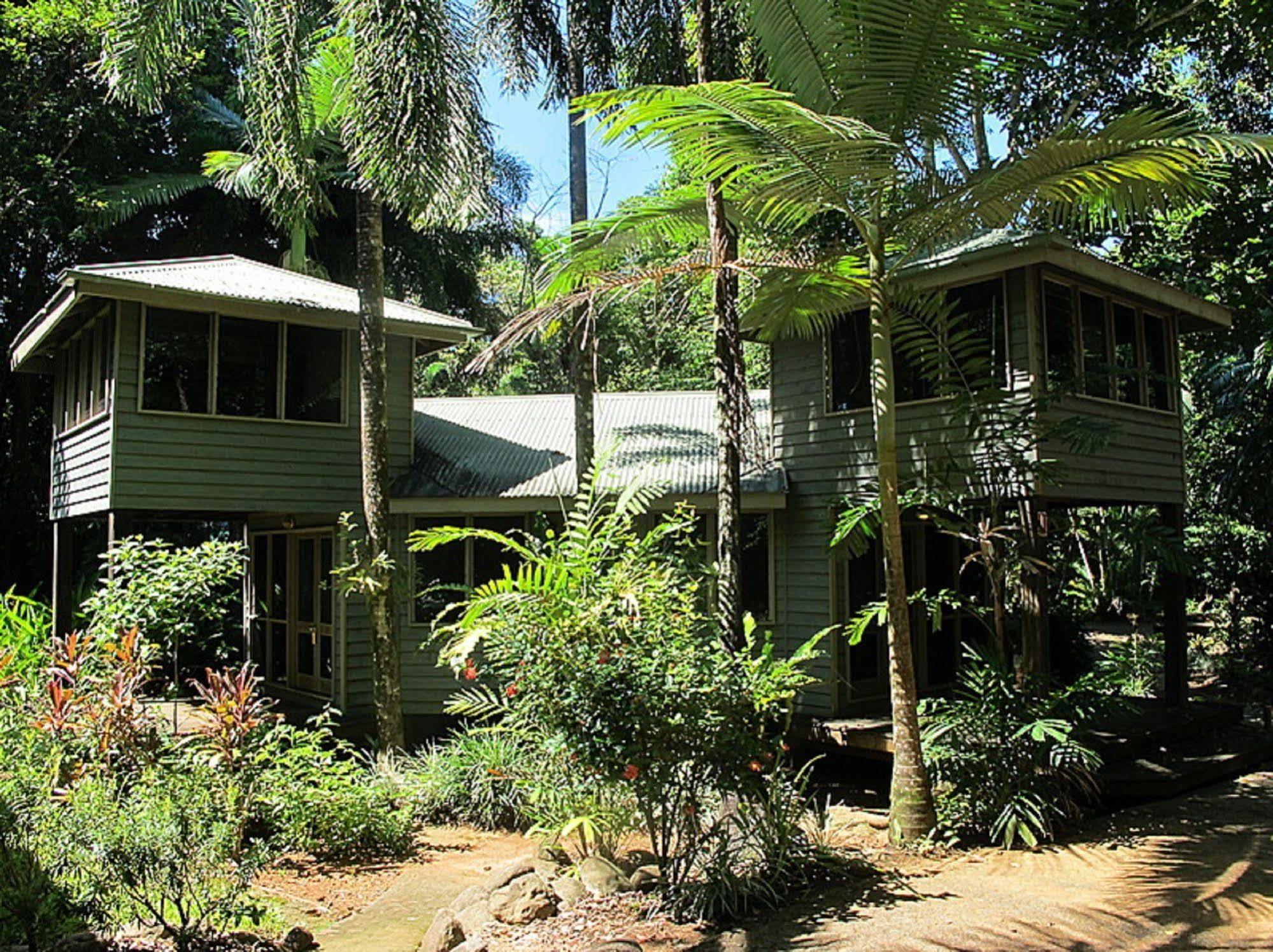 Ferntree Rainforest Lodge Кейп-Тріб'юлейшен Екстер'єр фото