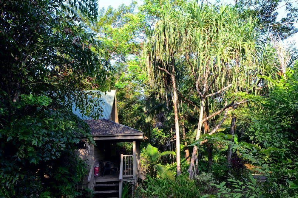 Ferntree Rainforest Lodge Кейп-Тріб'юлейшен Екстер'єр фото