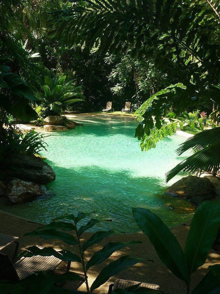 Ferntree Rainforest Lodge Кейп-Тріб'юлейшен Екстер'єр фото